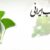 طب ایرانی